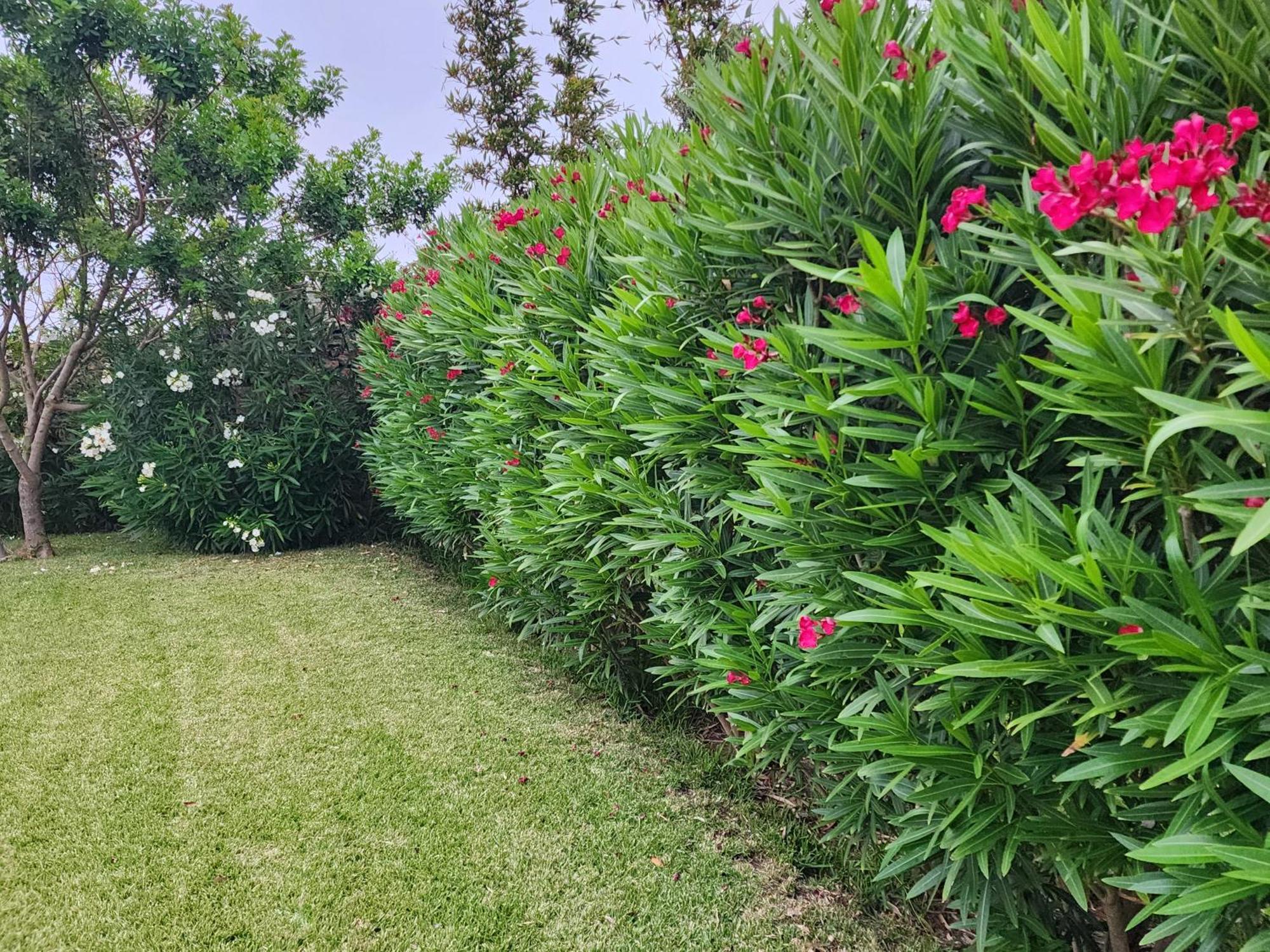 La Villa Joubert Oualidia Dış mekan fotoğraf